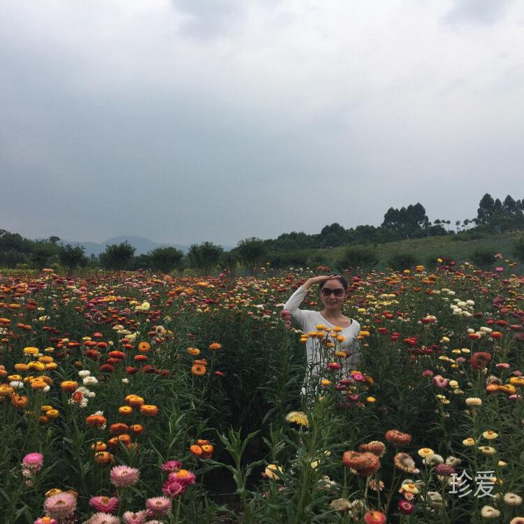 静缘