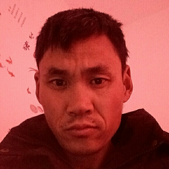 你真心我也真心