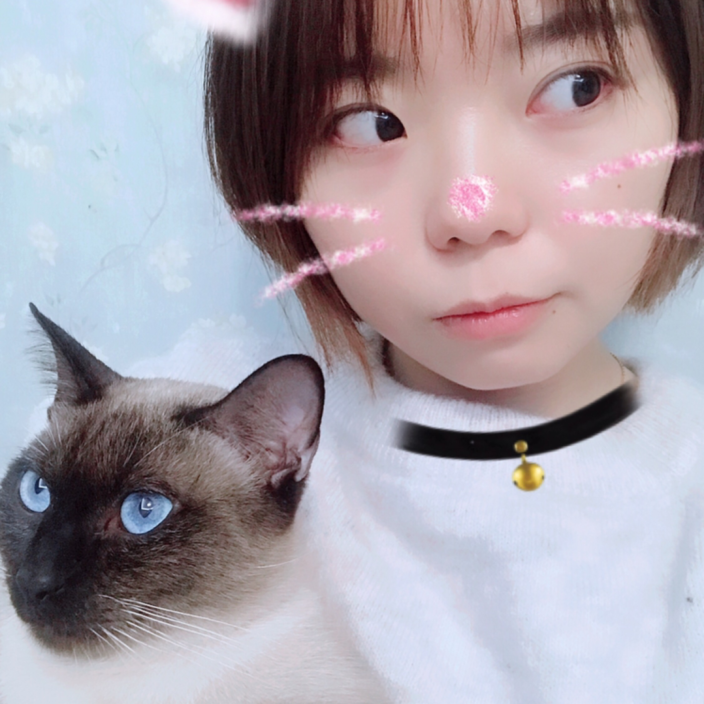 不值钱的铲屎官