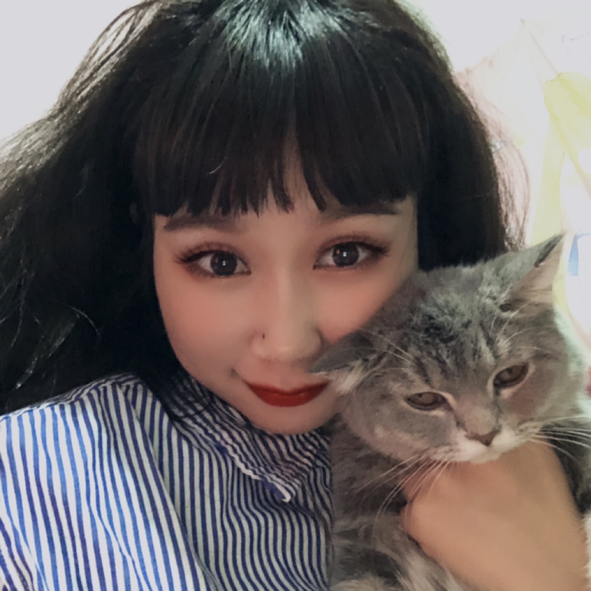 和太阳生气的向日