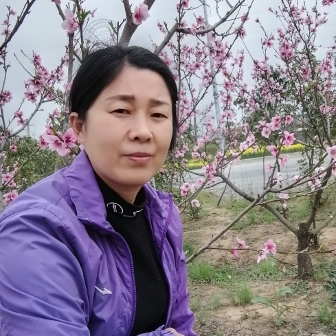 你若非誠我便不擾