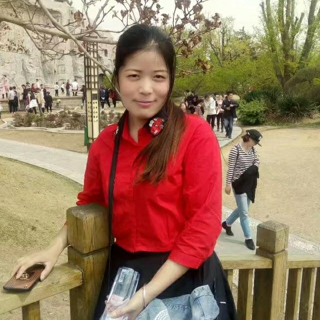 绿蔷薇