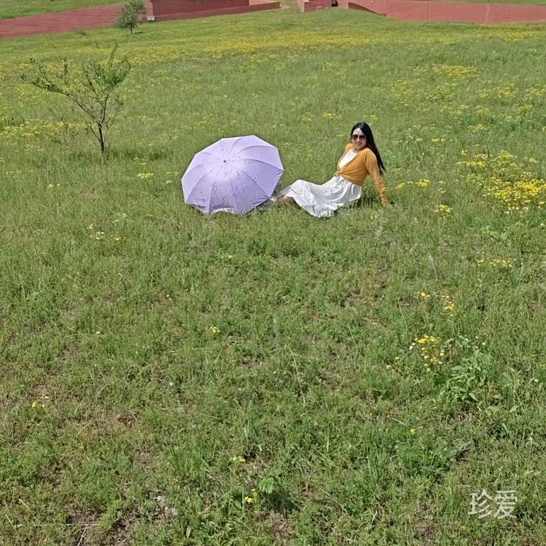 漂泊的帆