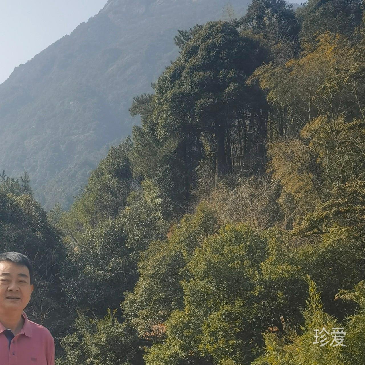 为爱寻找一个港湾