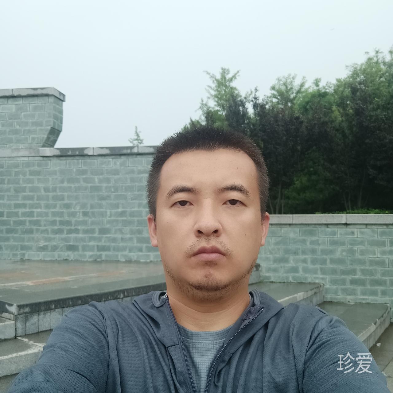 树领苍行