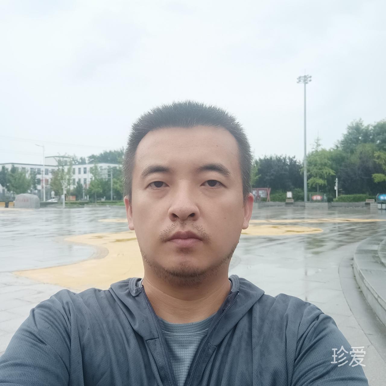 树领苍行