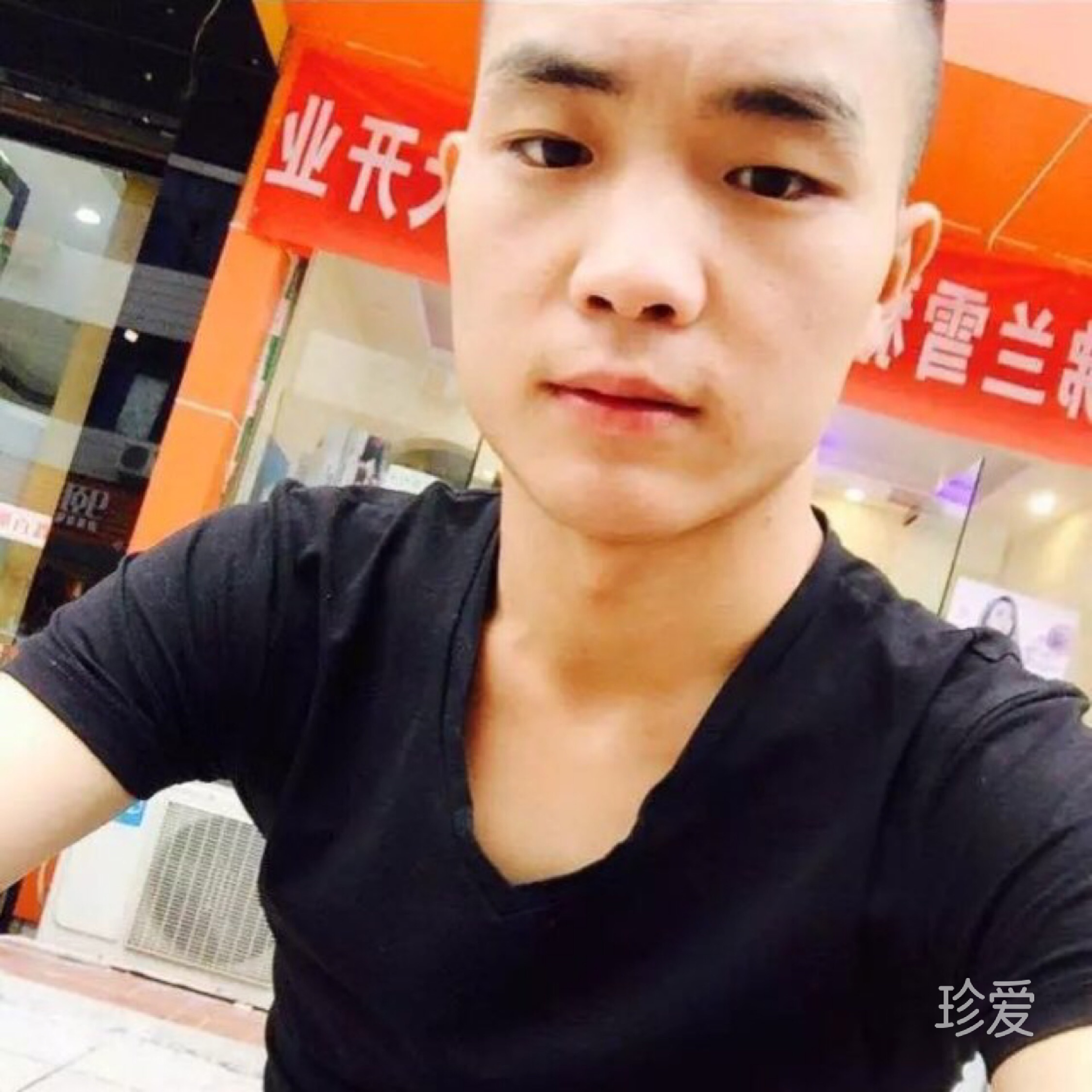 愿乘长风