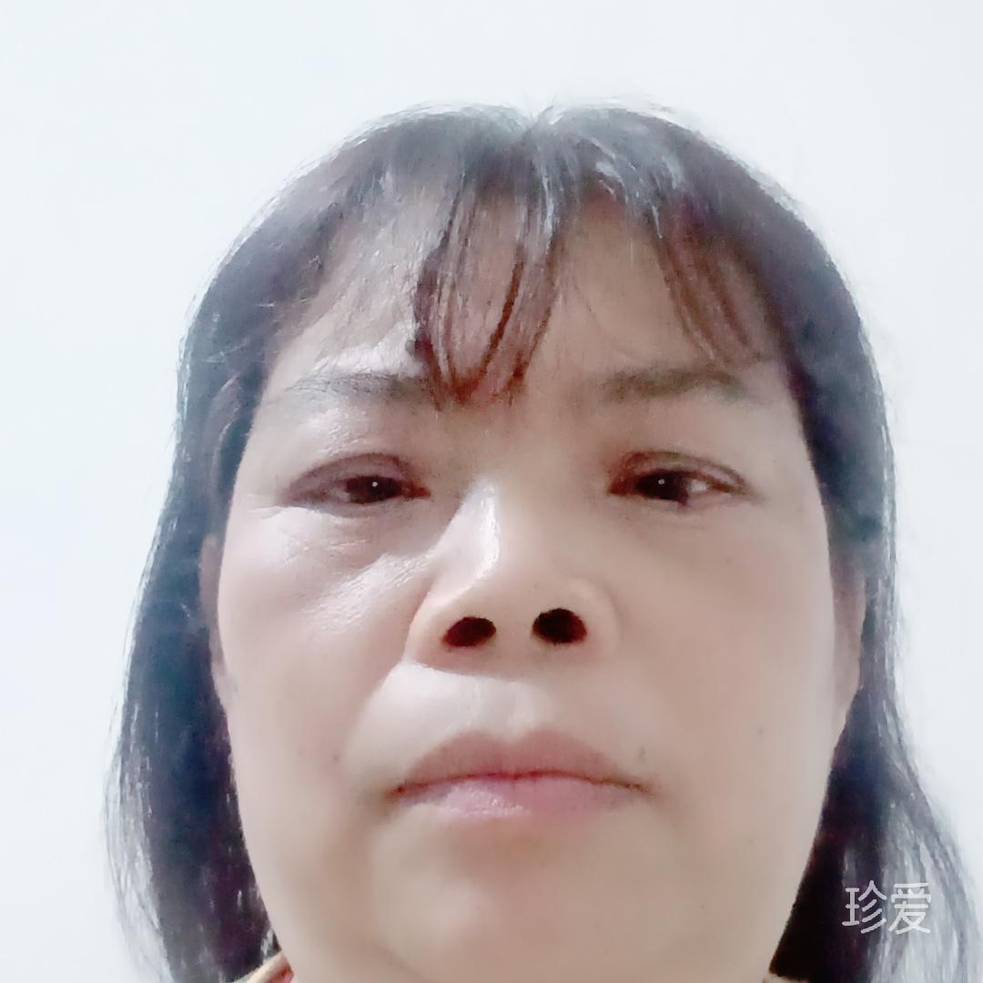 傲雪寒梅獨(dú)自開