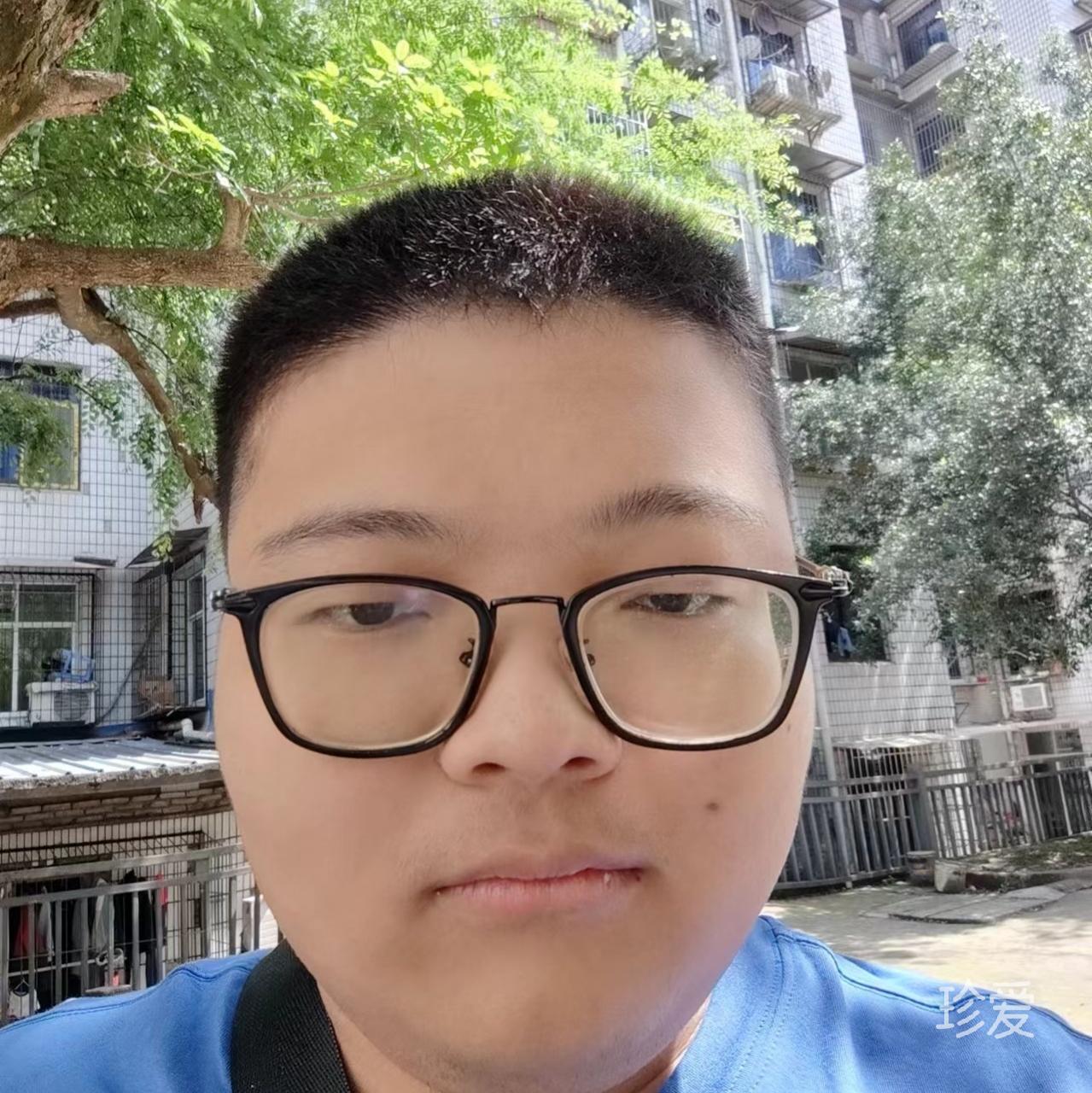 无足鸟