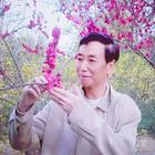 悠然