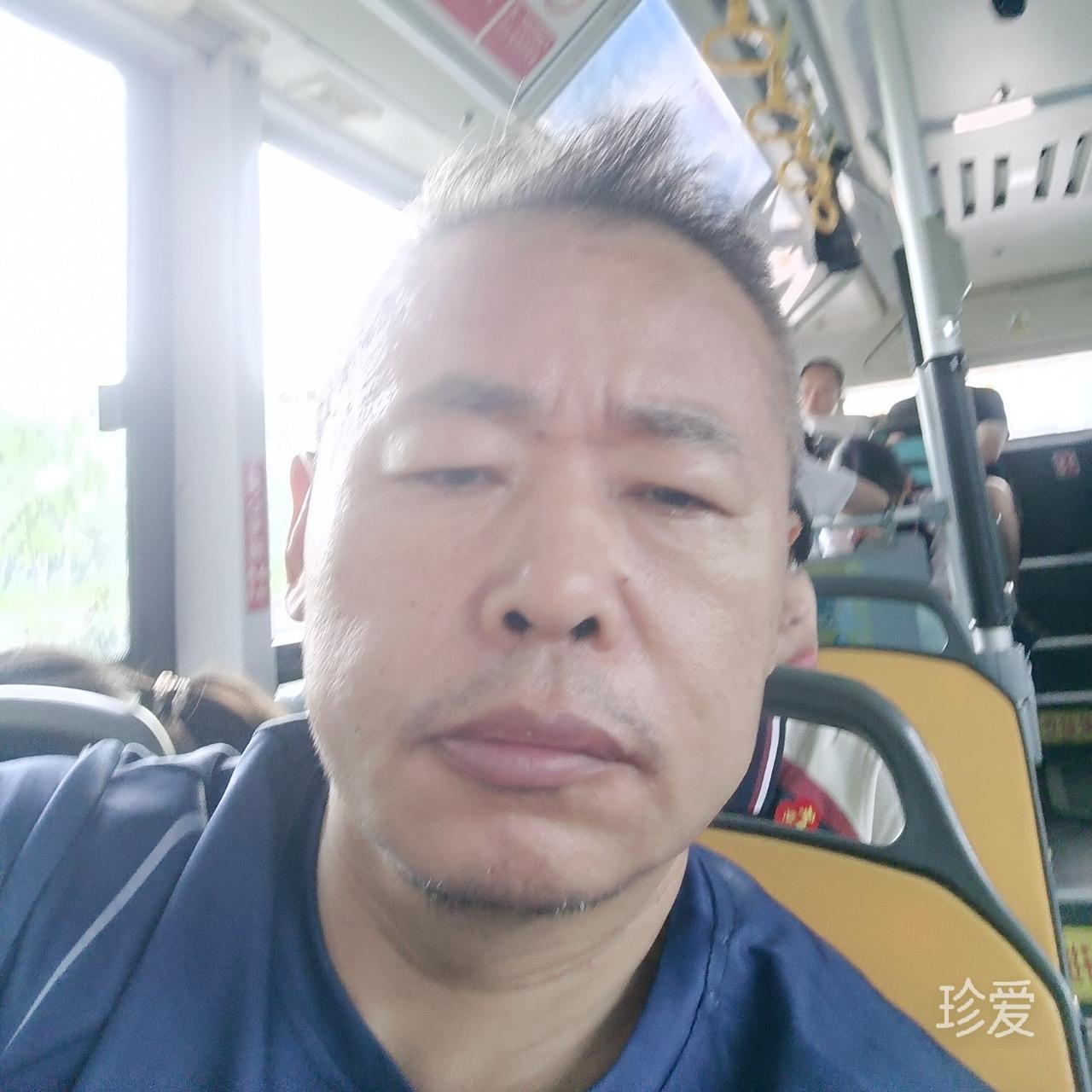真心真意