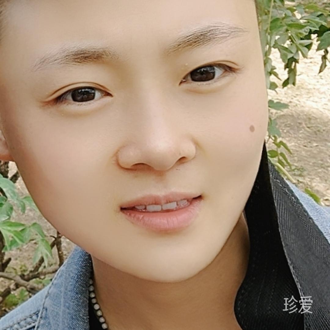 做一只小猫咪