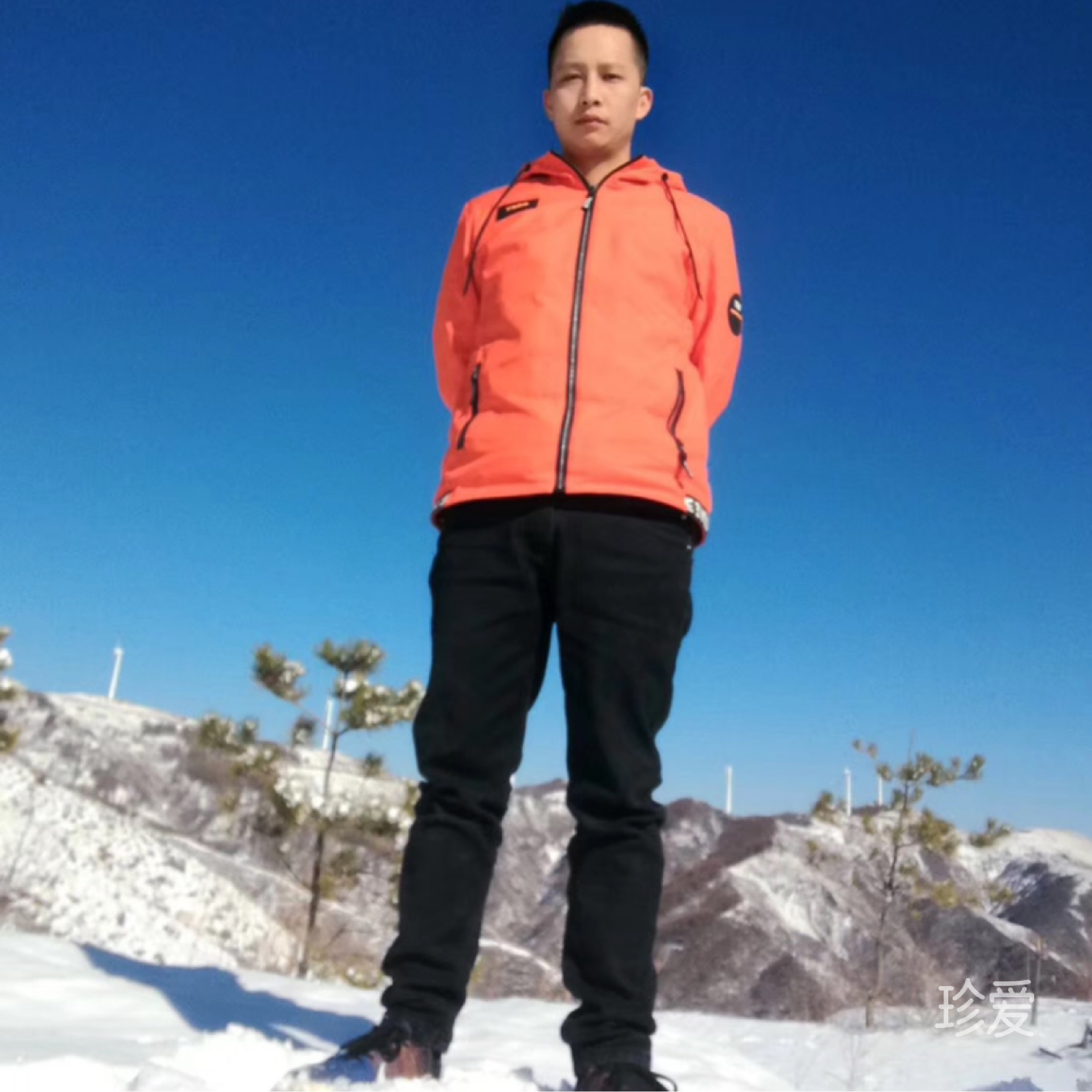 我为何相