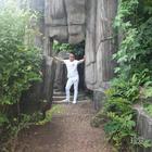 孤單的一個(gè)人