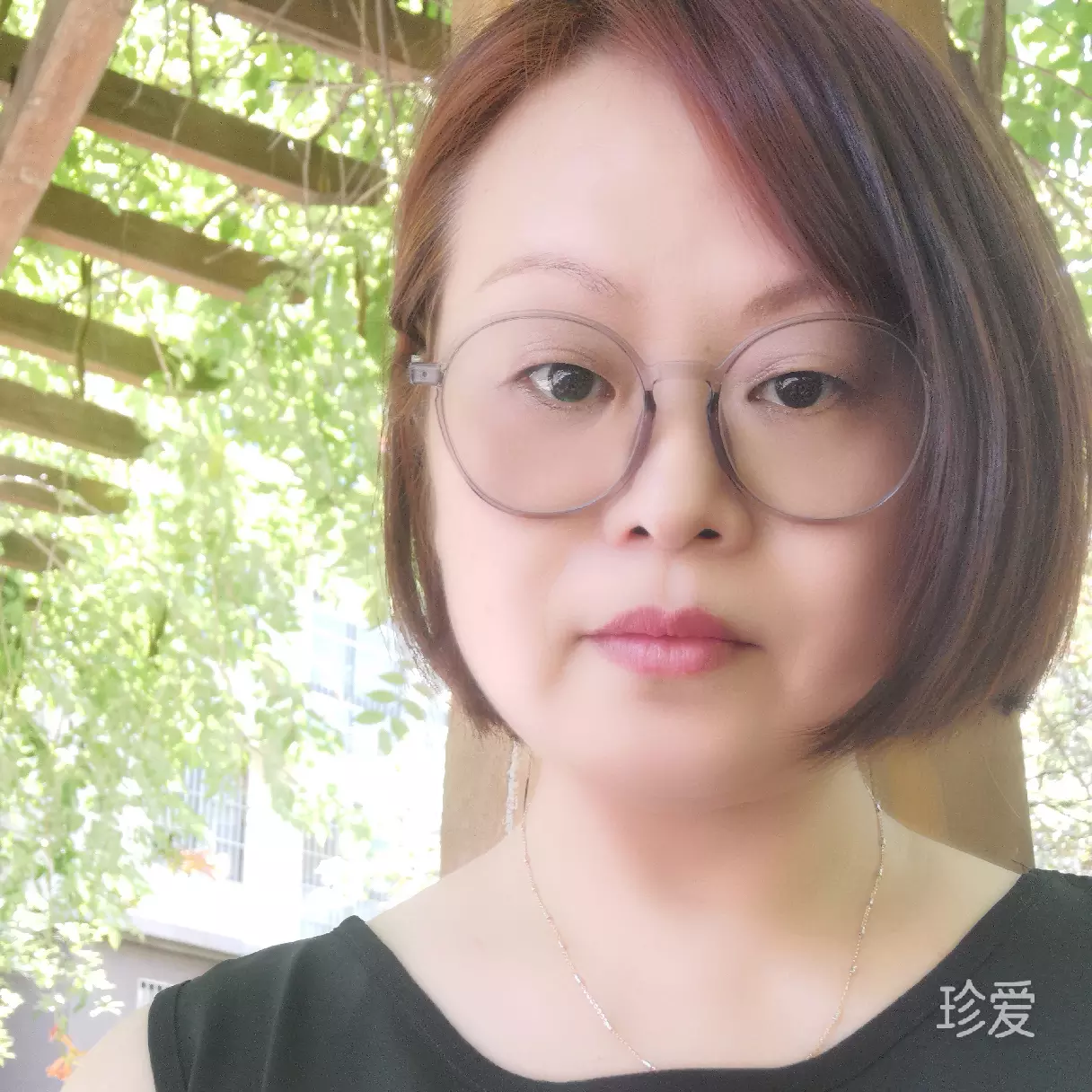 凝芯