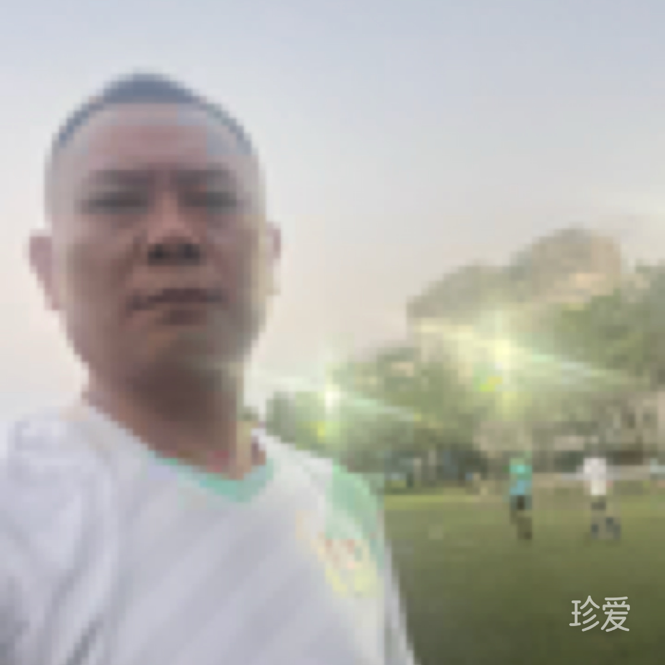 莱莱先生