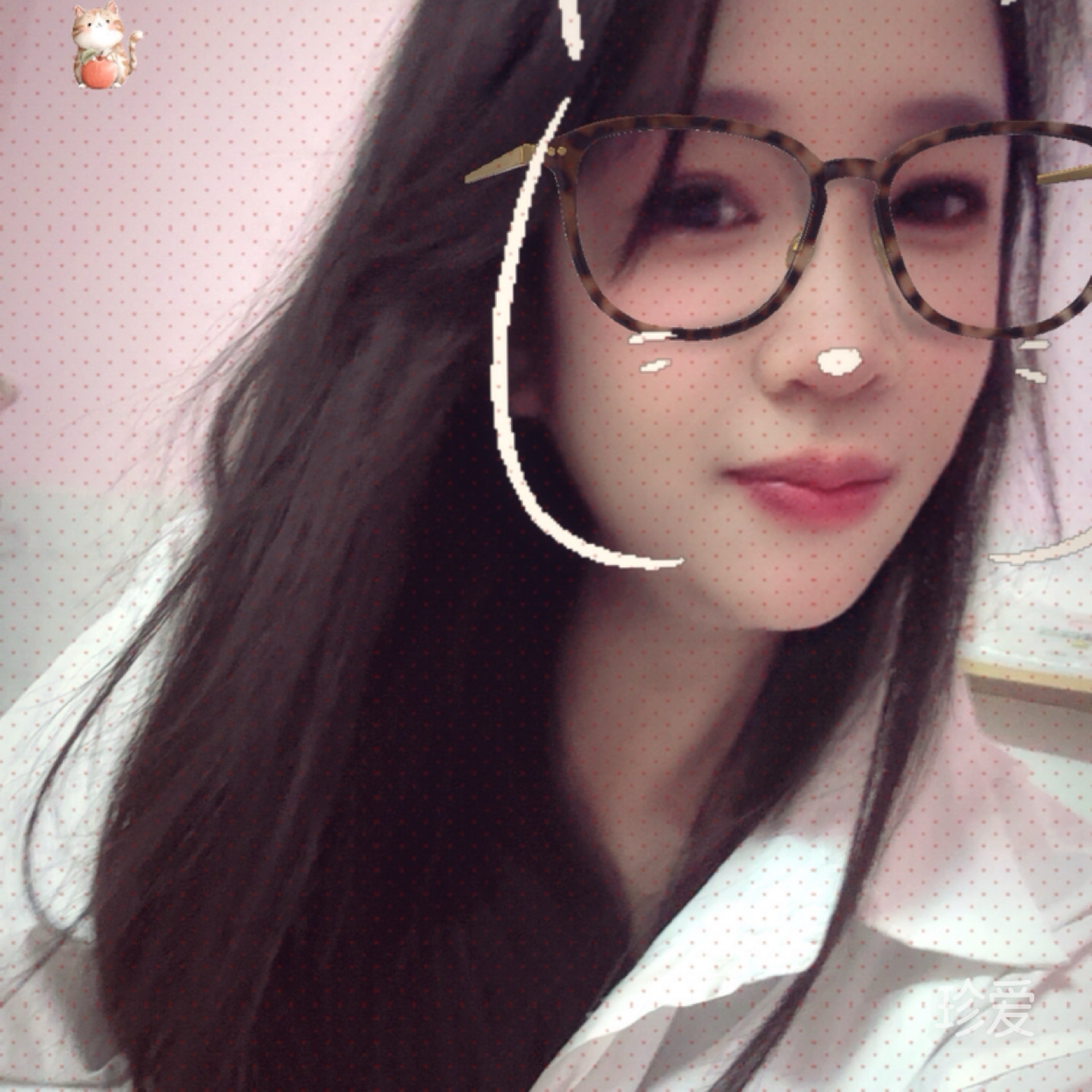 钢琴上的猫