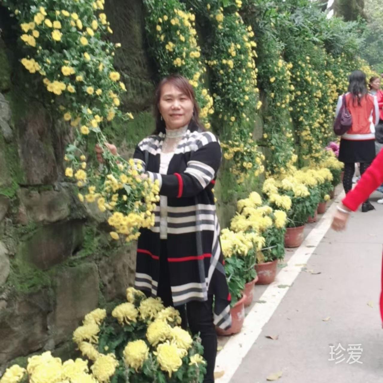 寻找有缘人