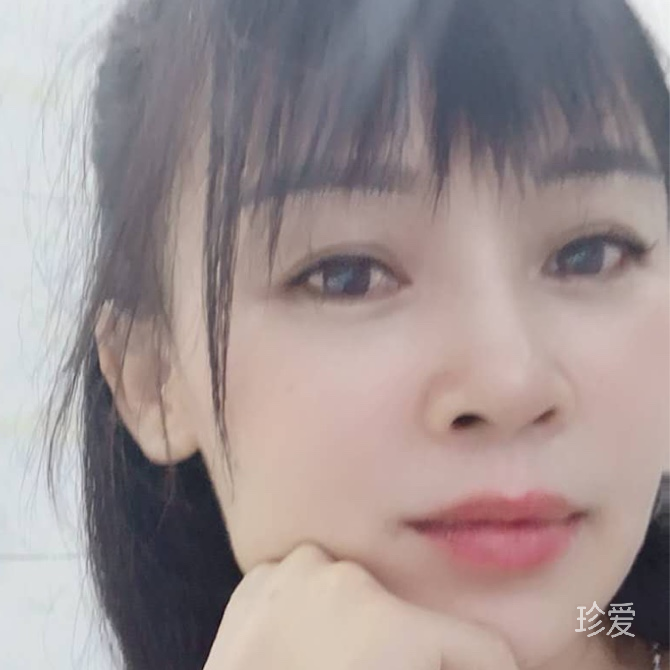 胡同里的猫