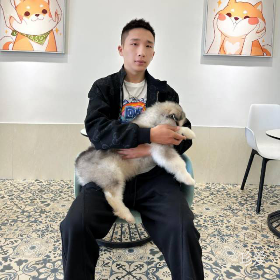 做你的阳光可好