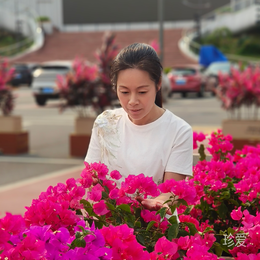 小红叶
