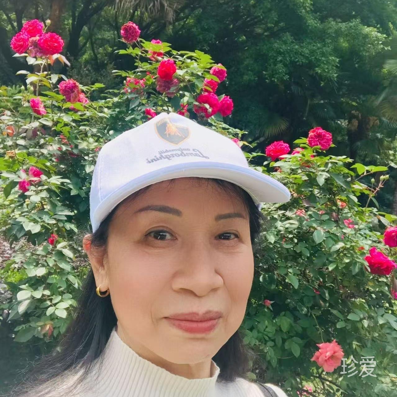 静莲