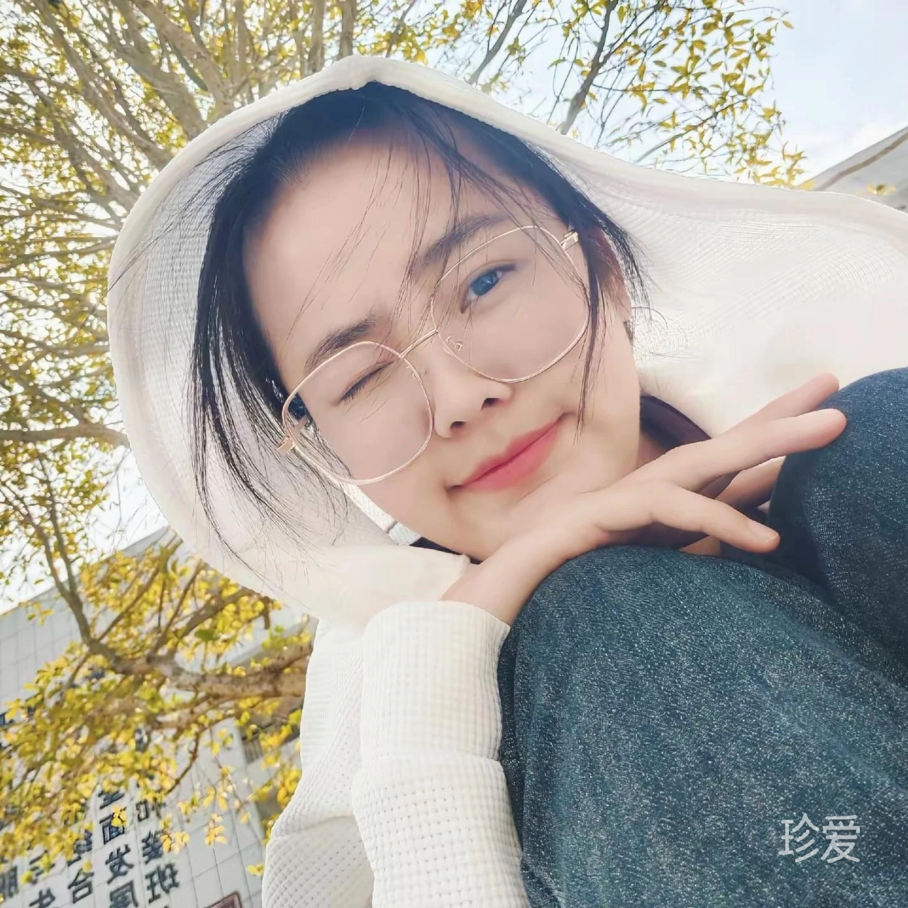 大洋芋
