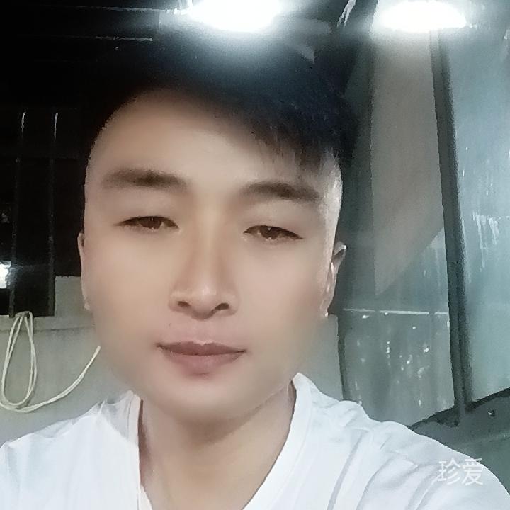 乐游