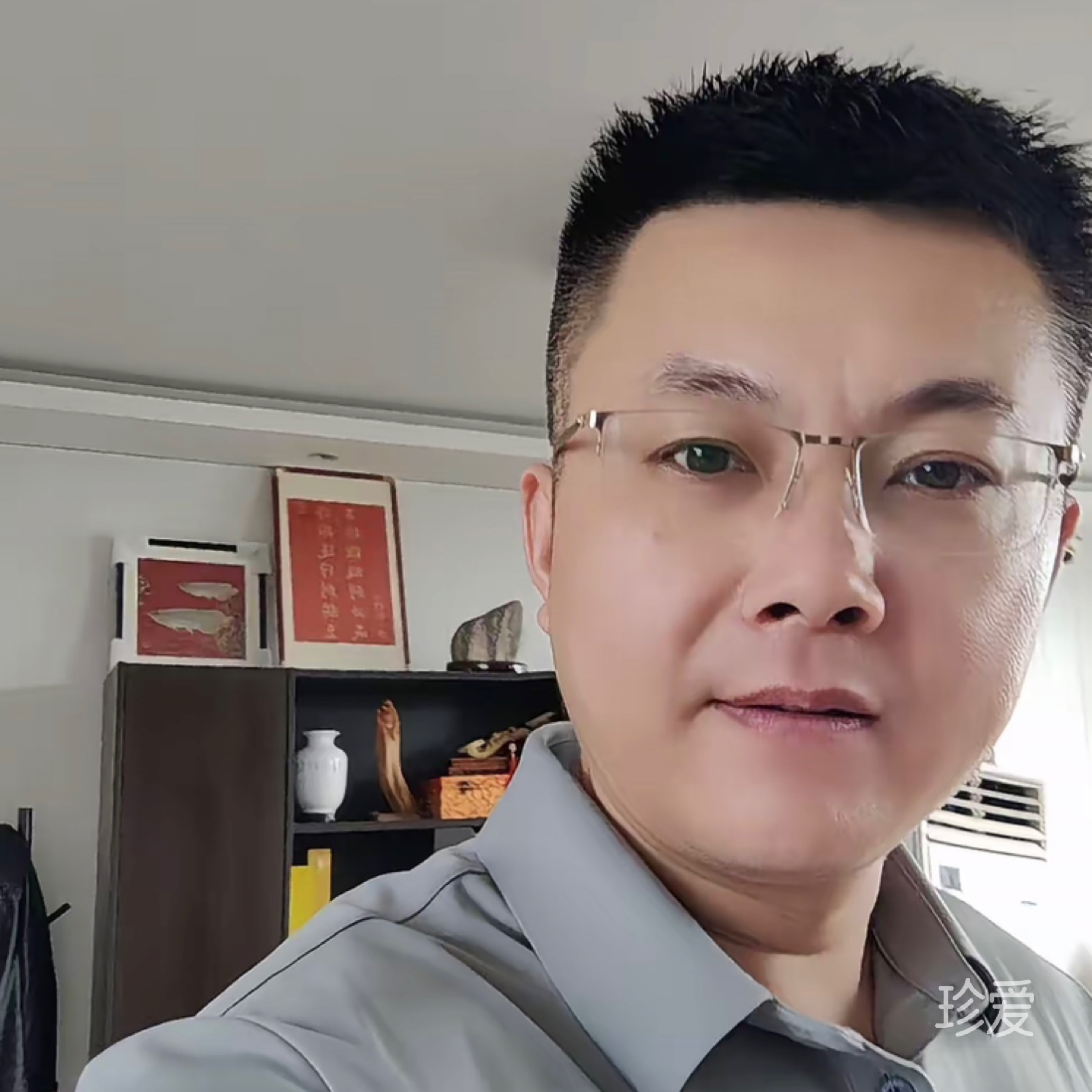 冬天的一片绿叶