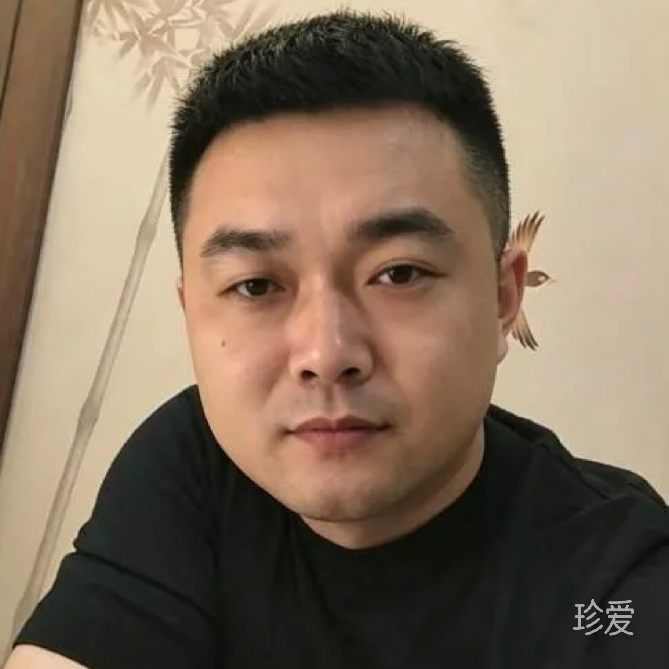 冬天的一片绿叶