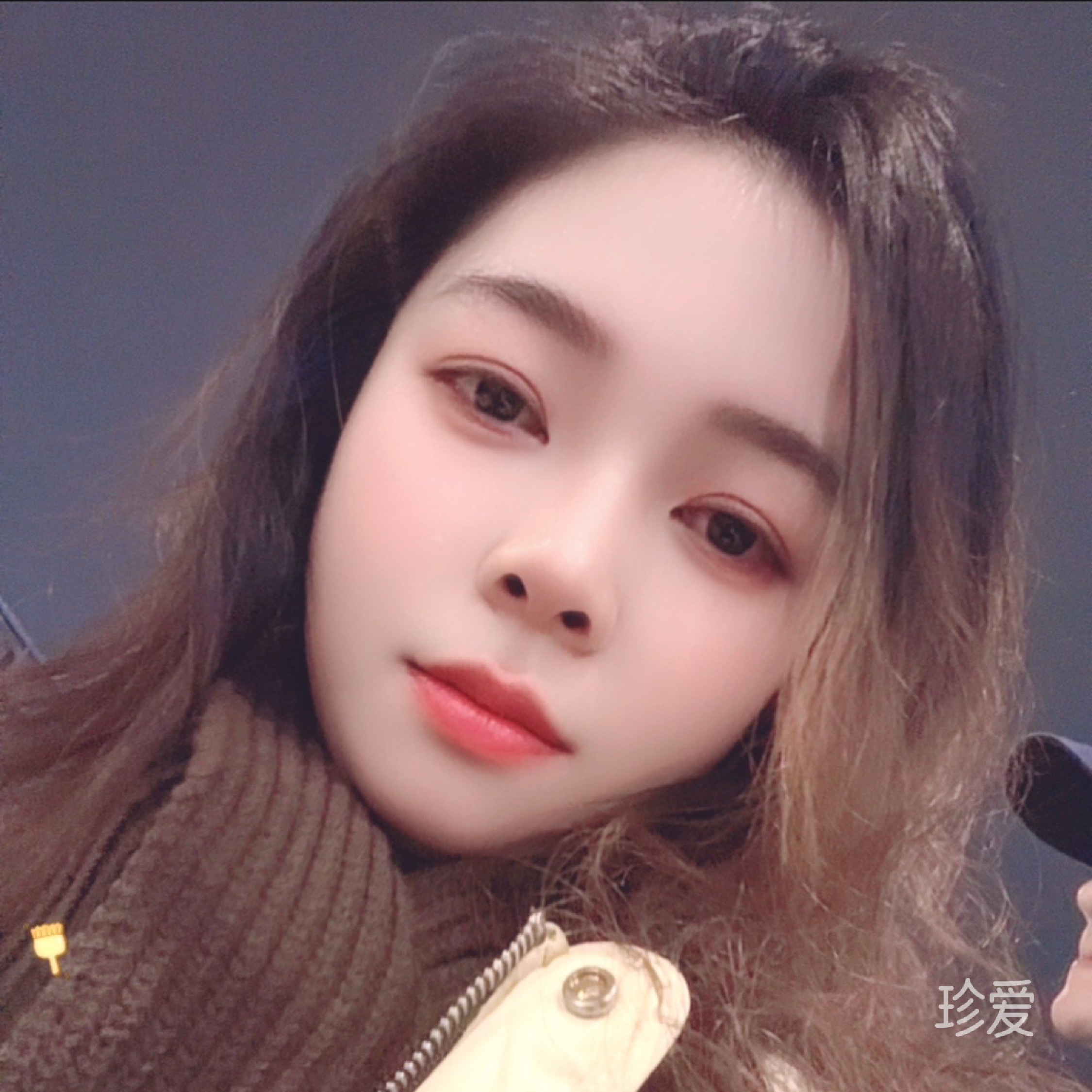 风雨中的向日葵