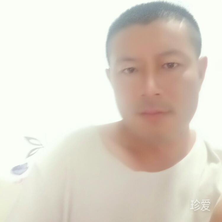 袁先生6688