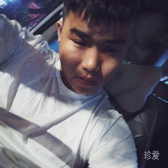 苍鹰