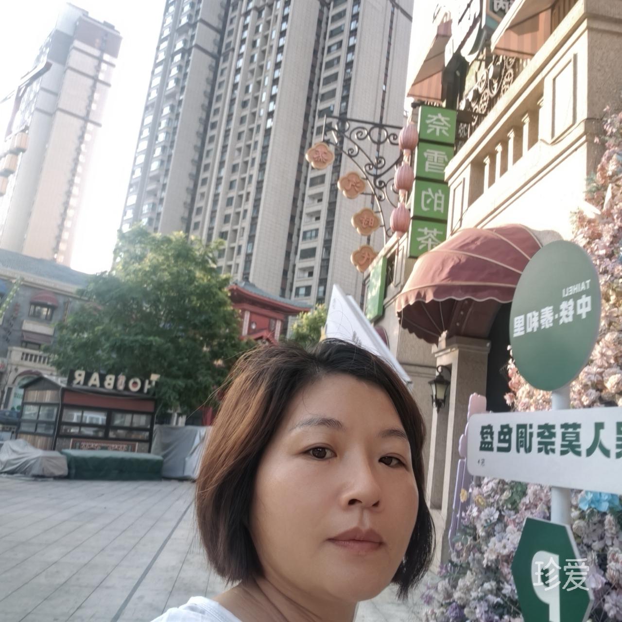时光与猫