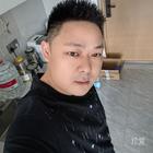 梧桐飛絮