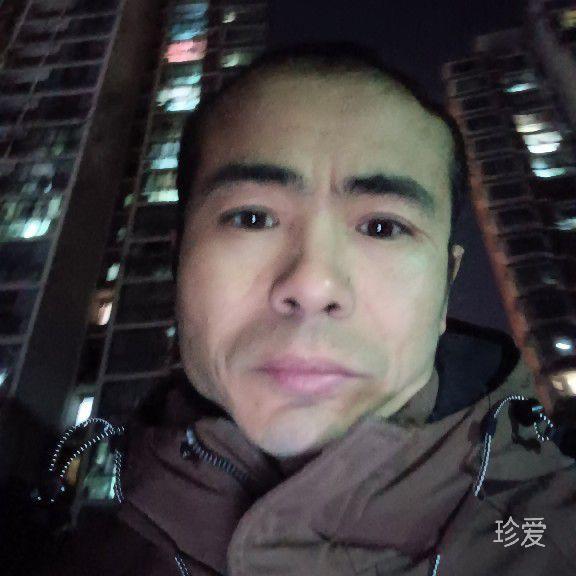 燕子在哪