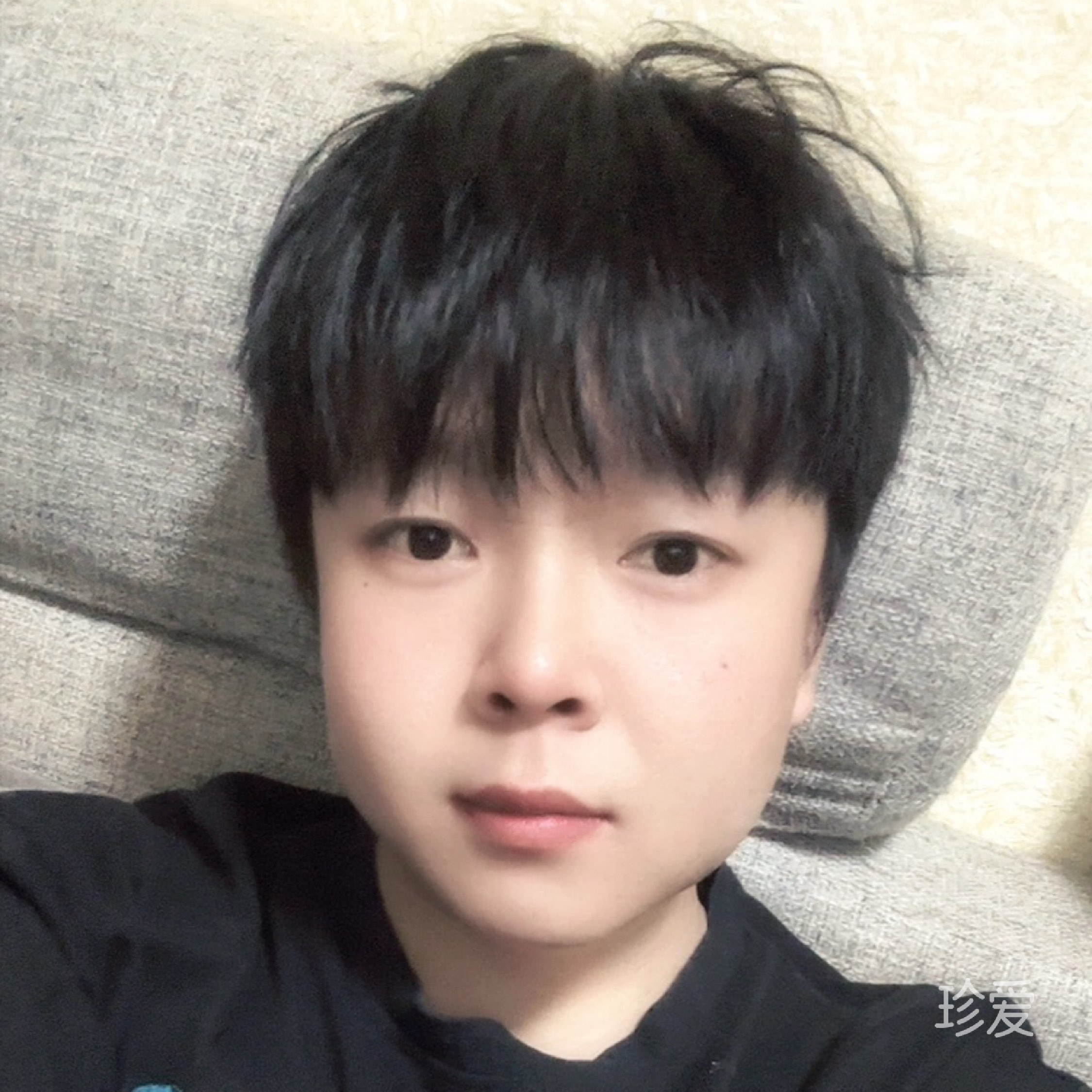 洛希极限