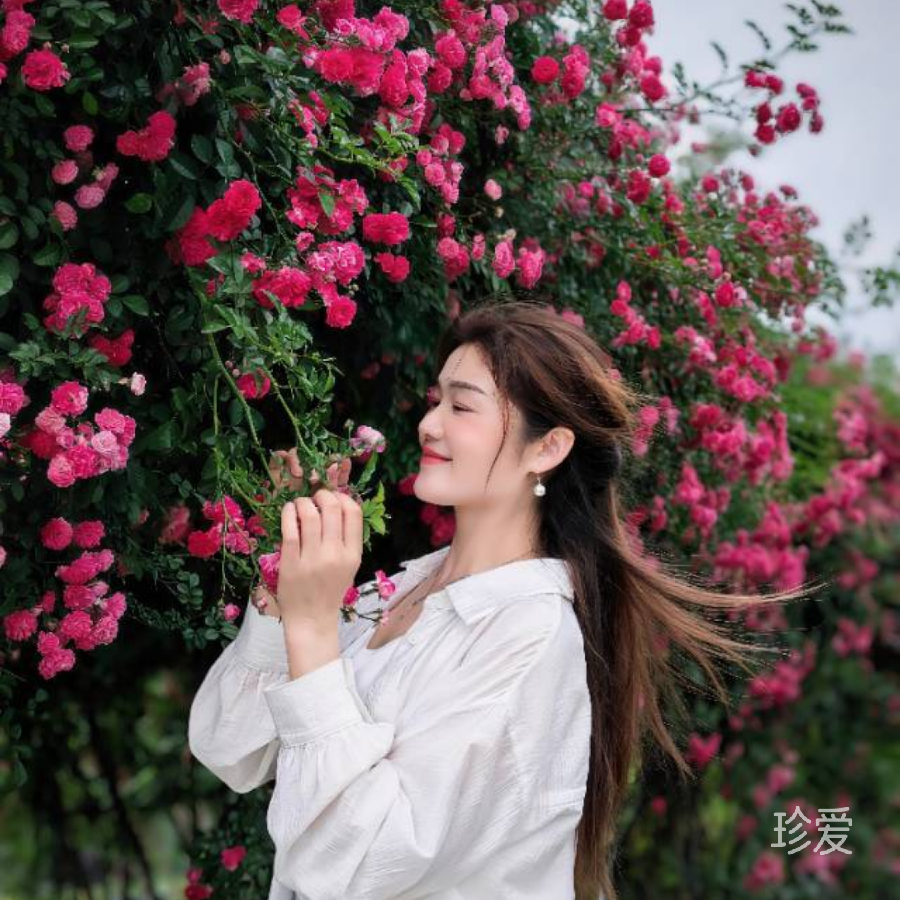 云雁