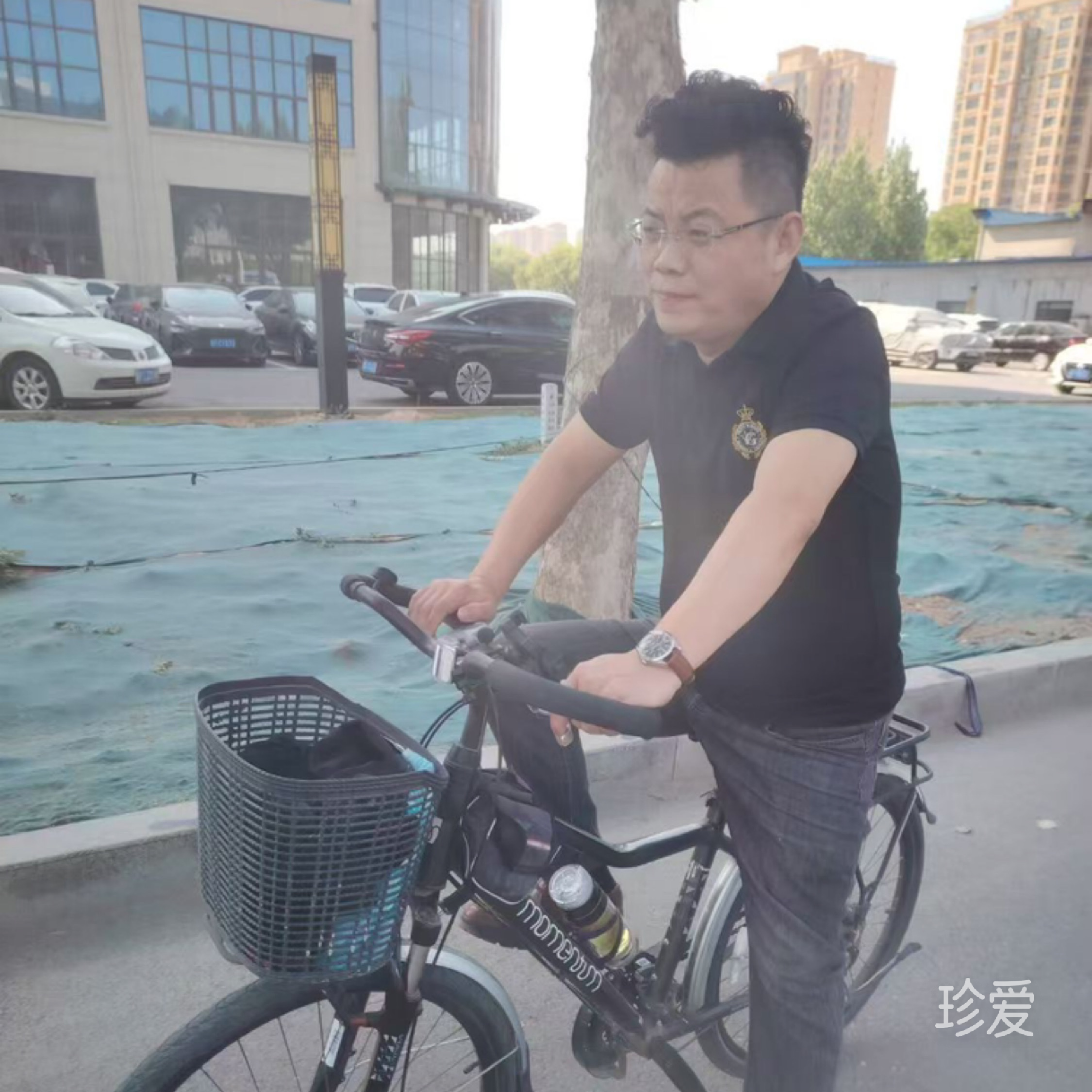 抱着猫睡觉的鱼