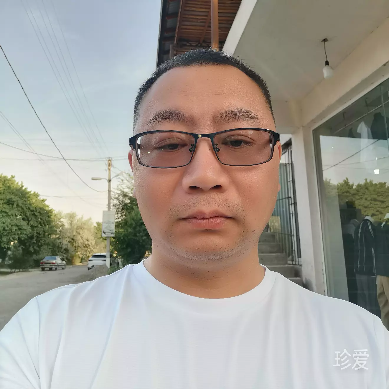 迷茫的山羊
