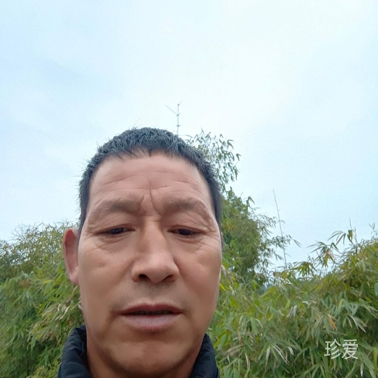 浪的出名牧羊人