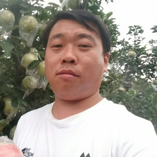 不爱说话的孤龙