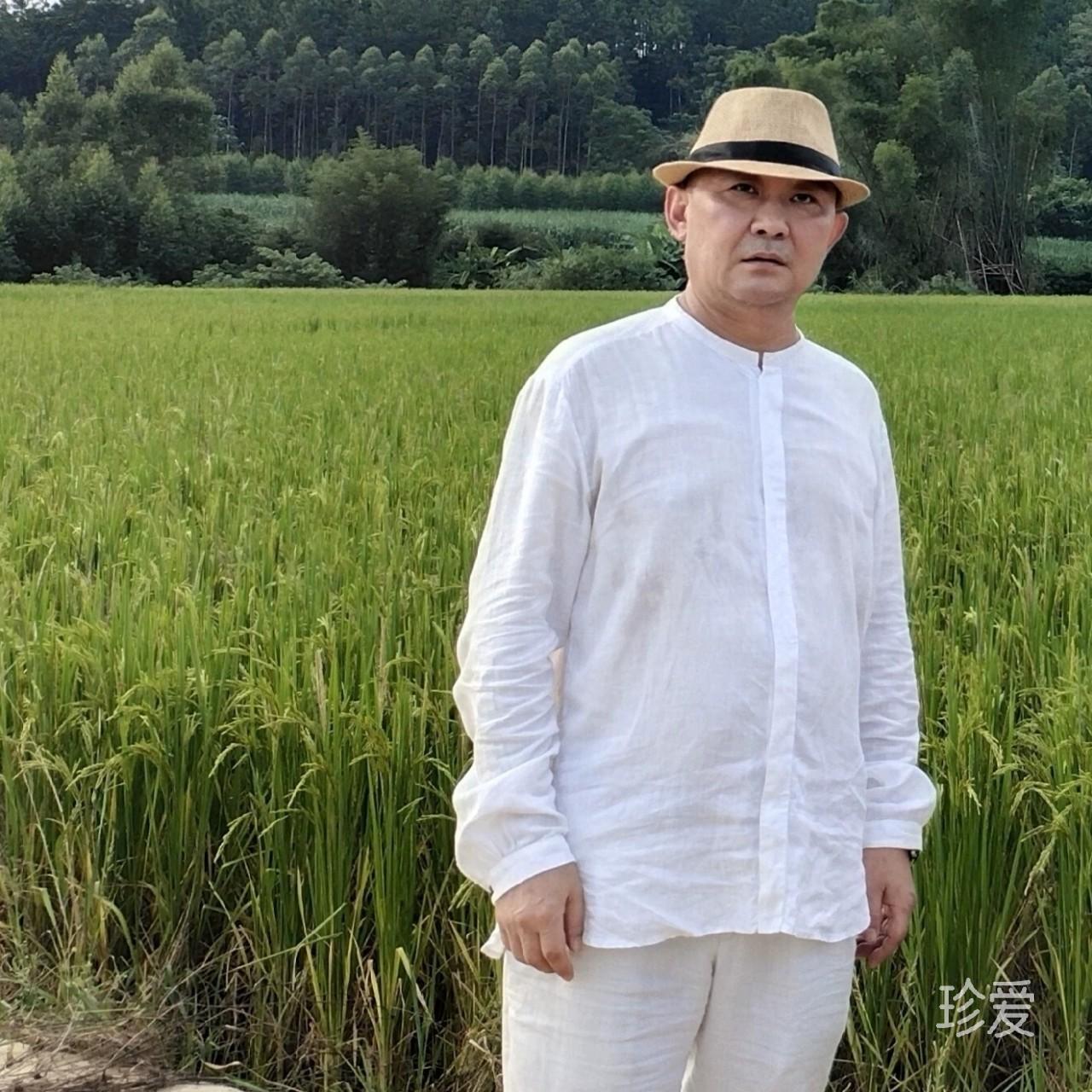 还初