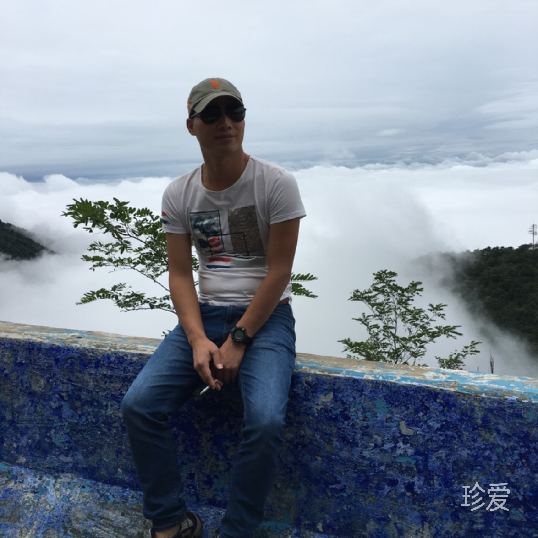 茶无此人
