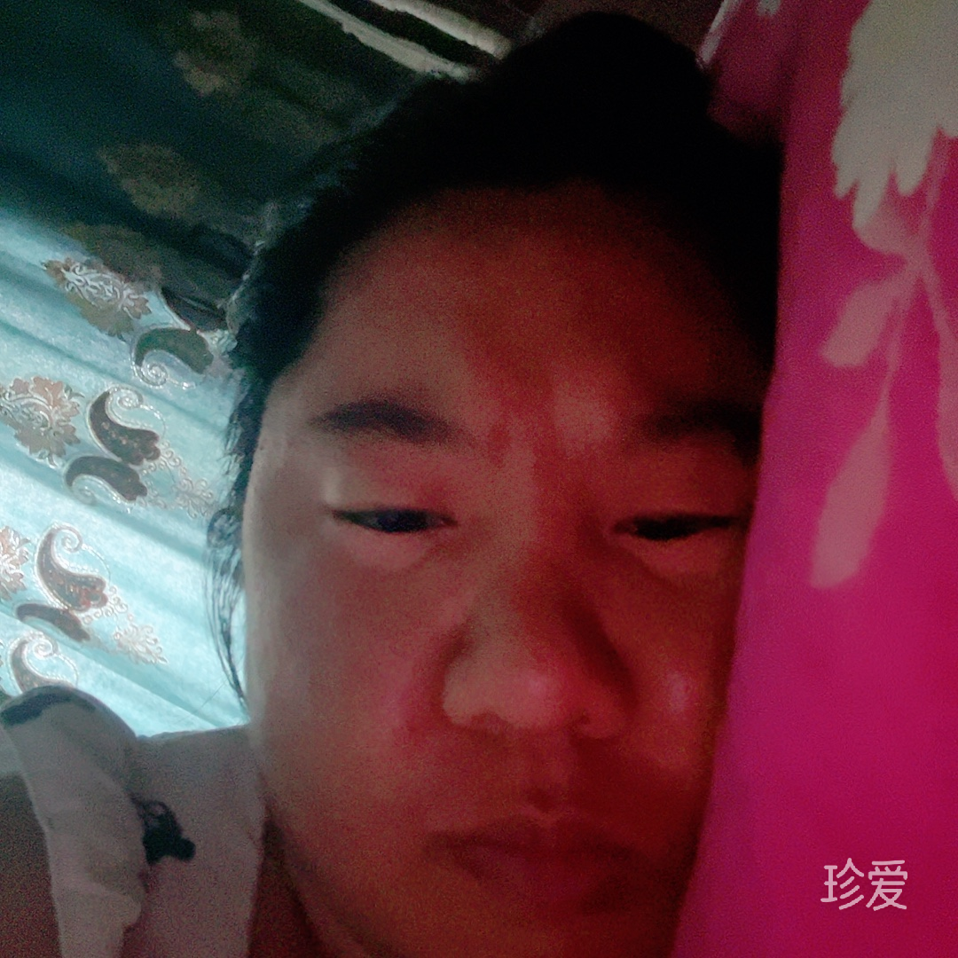 水墨清荷