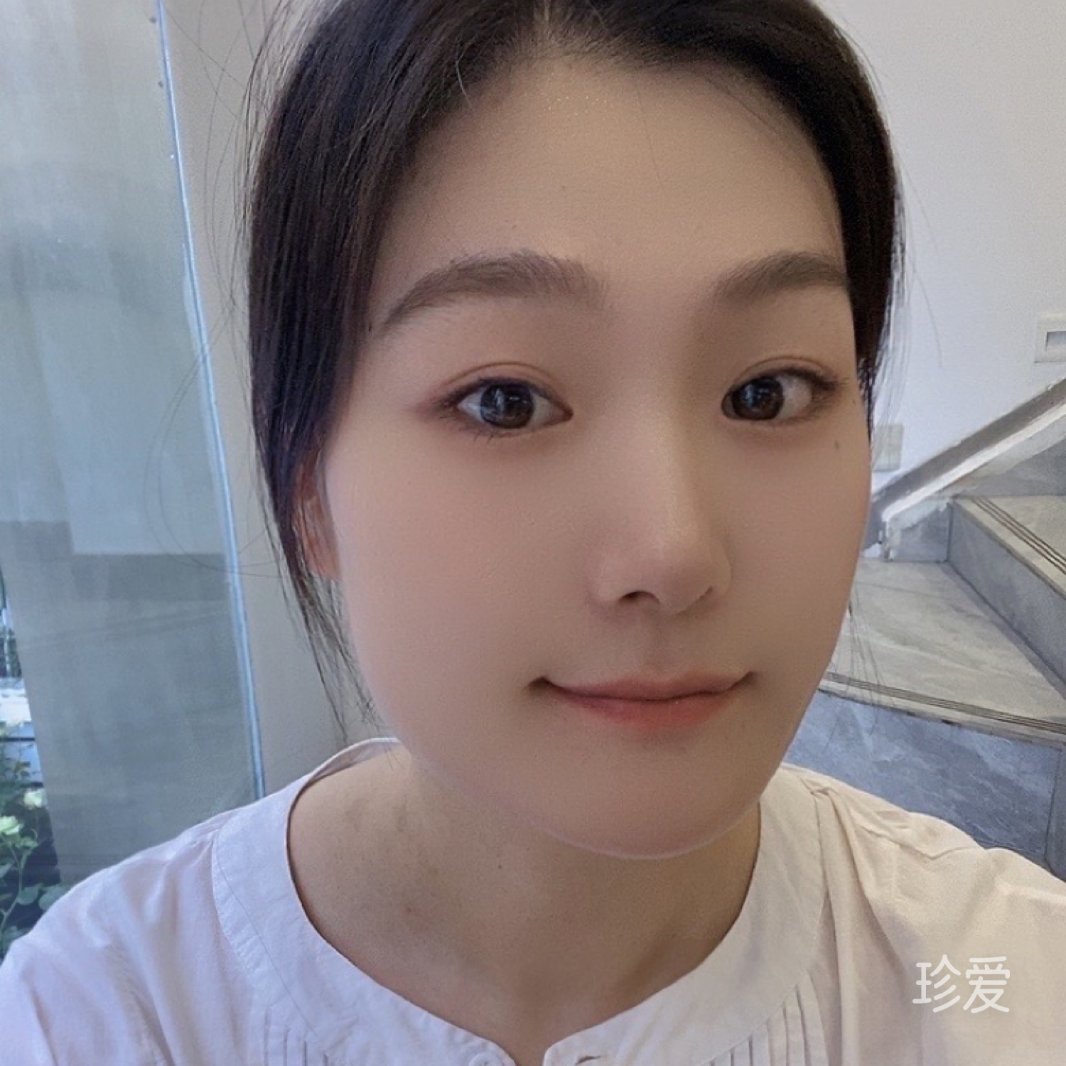 风往北吹