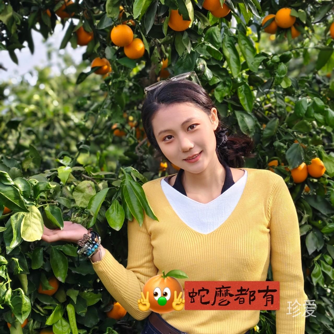 清影欢颜