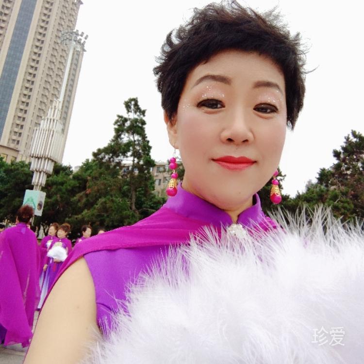 風(fēng)中向日葵