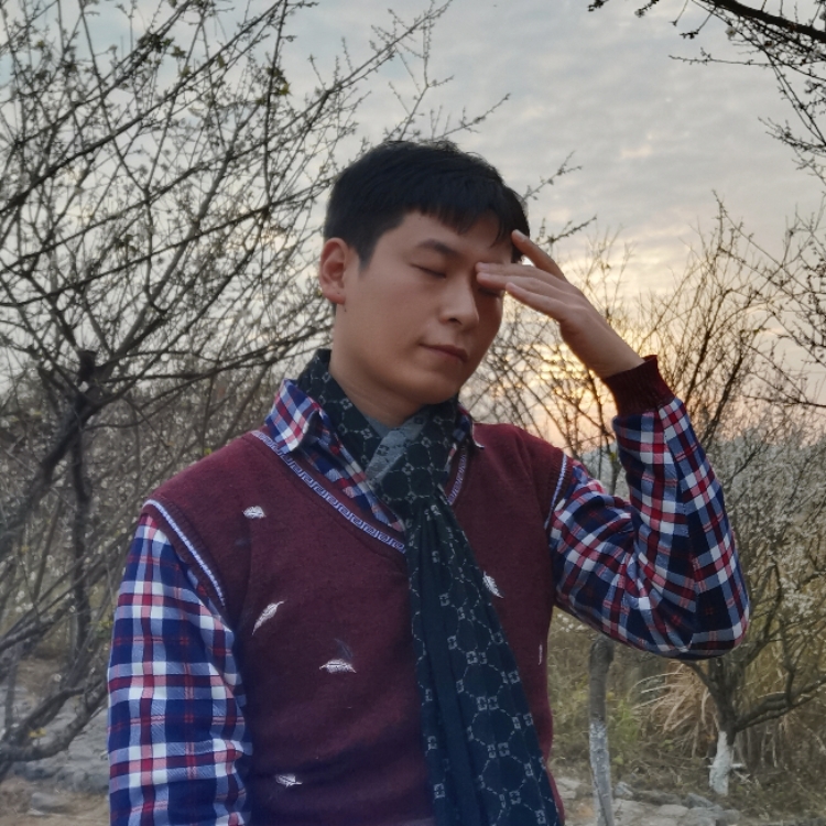 一根漂亮的木頭