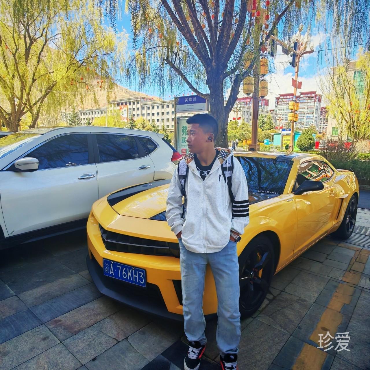 谁念西风独自凉